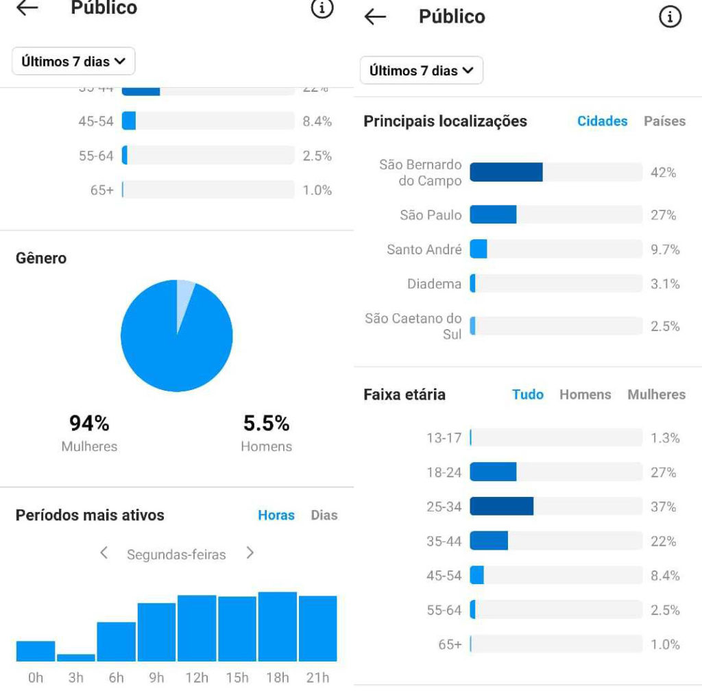 Instagram Insights: Público  